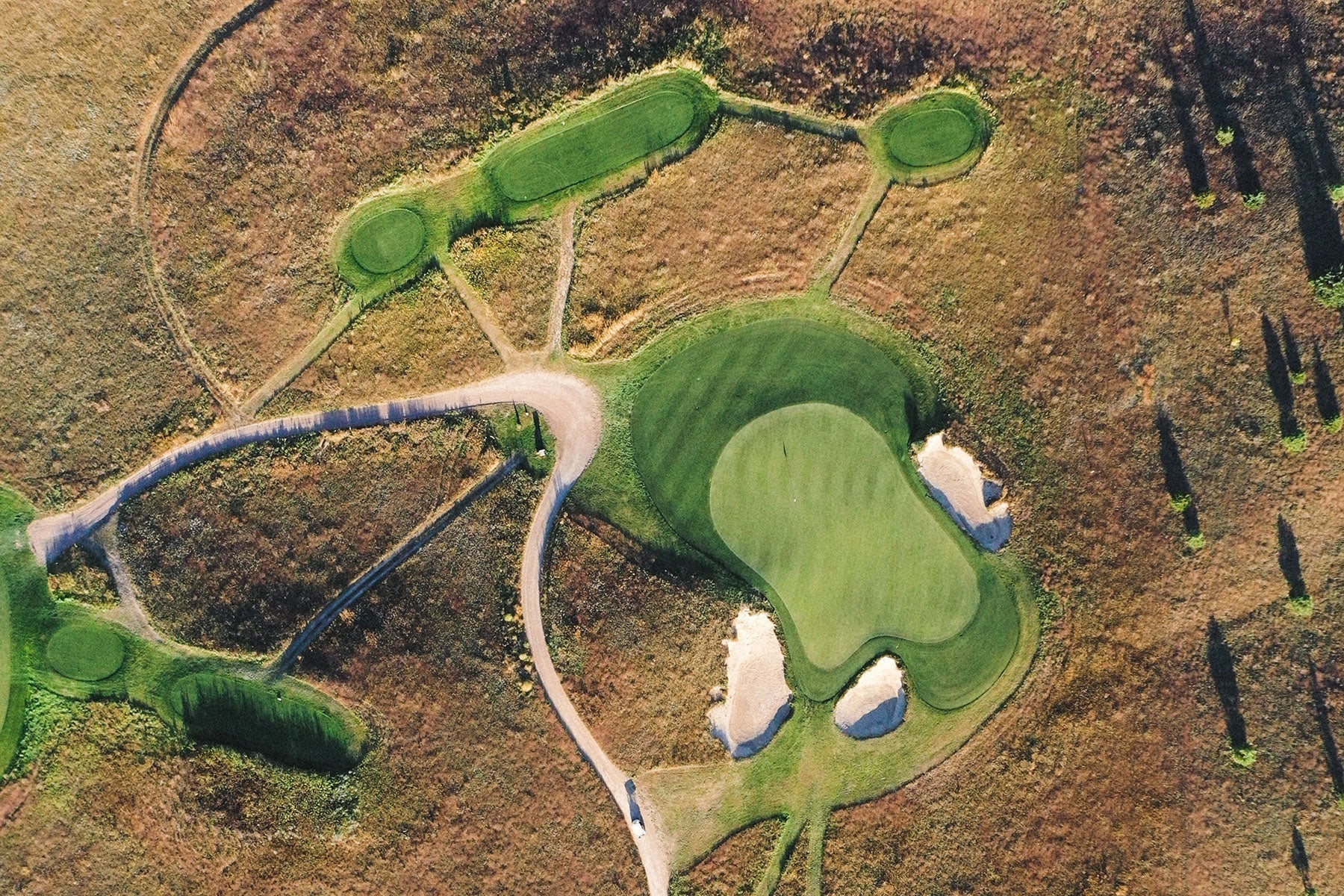 Sugarloaf Social Club | Reigning Champ