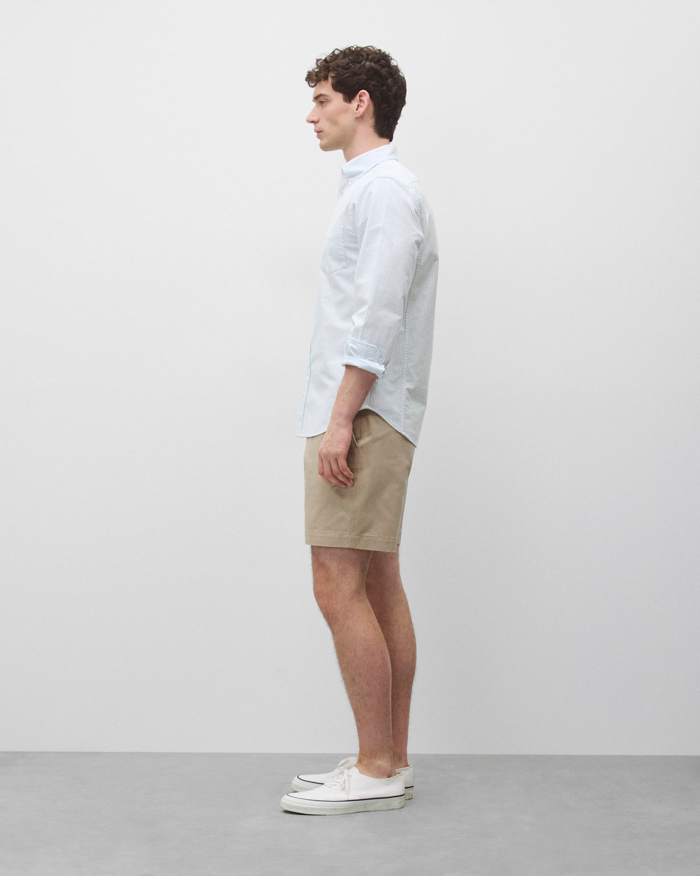 Cotton Oxford Windsor Standard Shirt