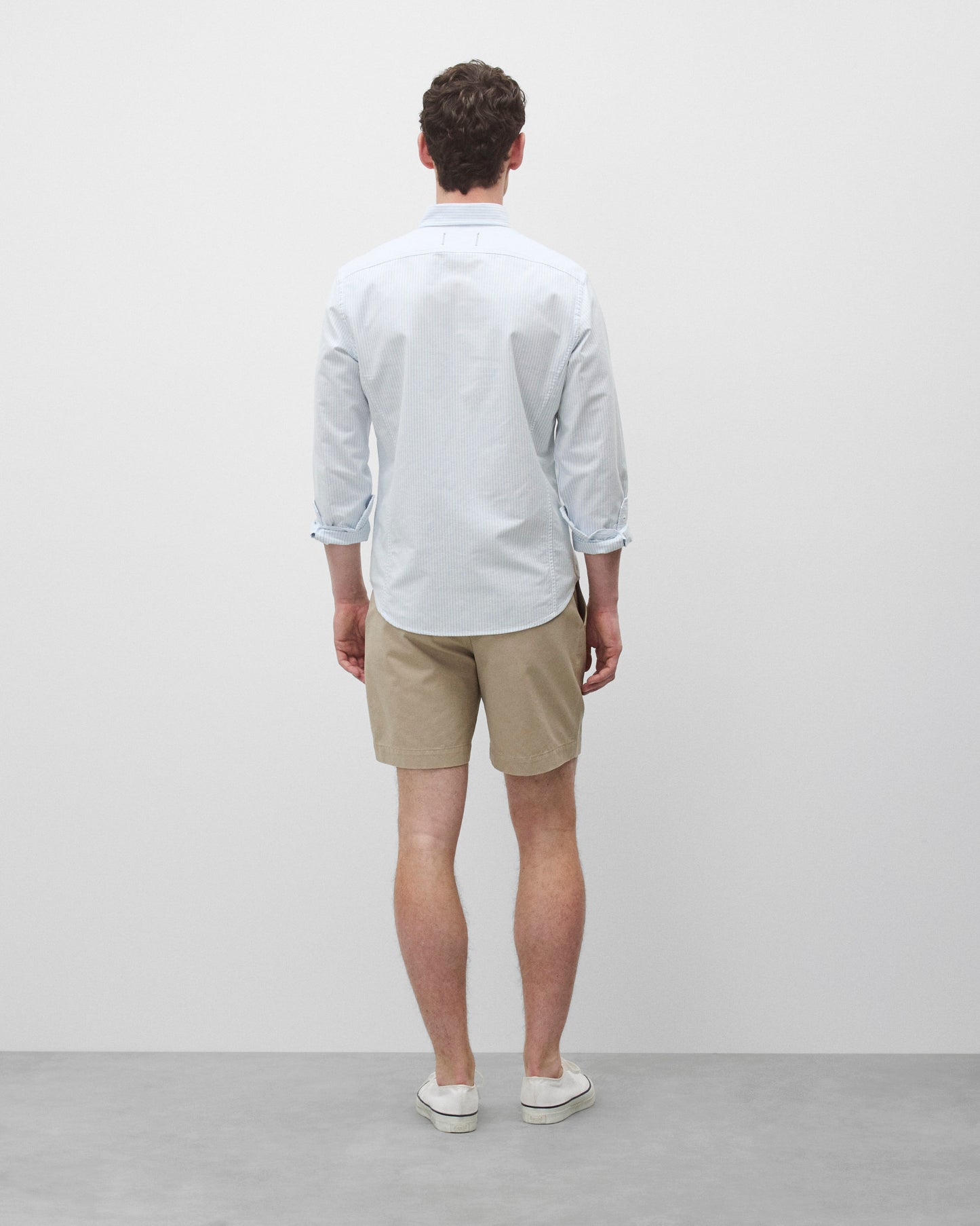 Cotton Oxford Windsor Standard Shirt